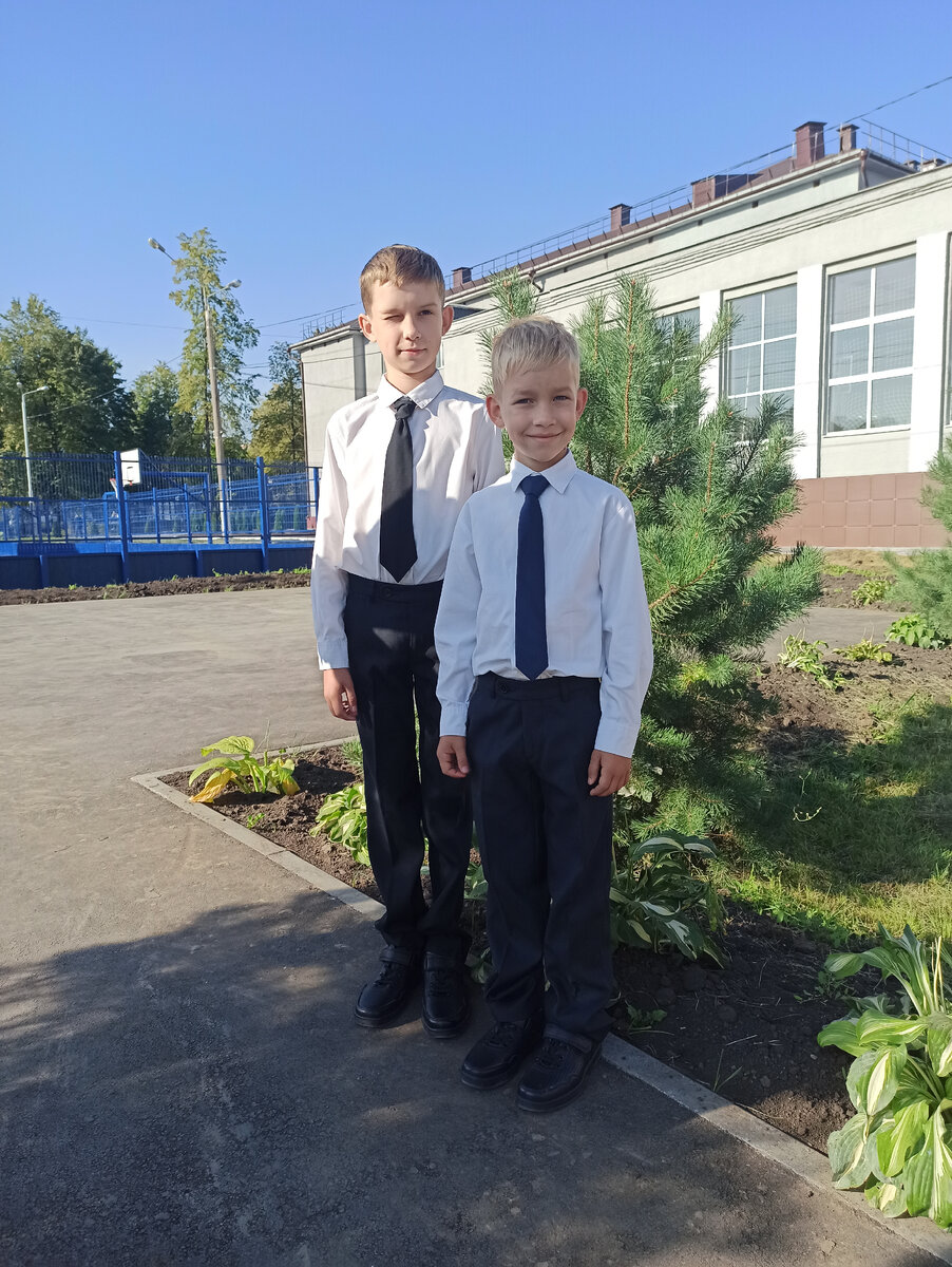 Школьники мои!