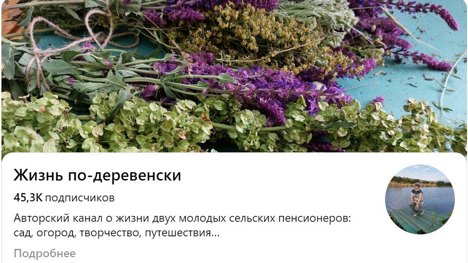 Фото из общедоступных источников, блог-платформы Дзен