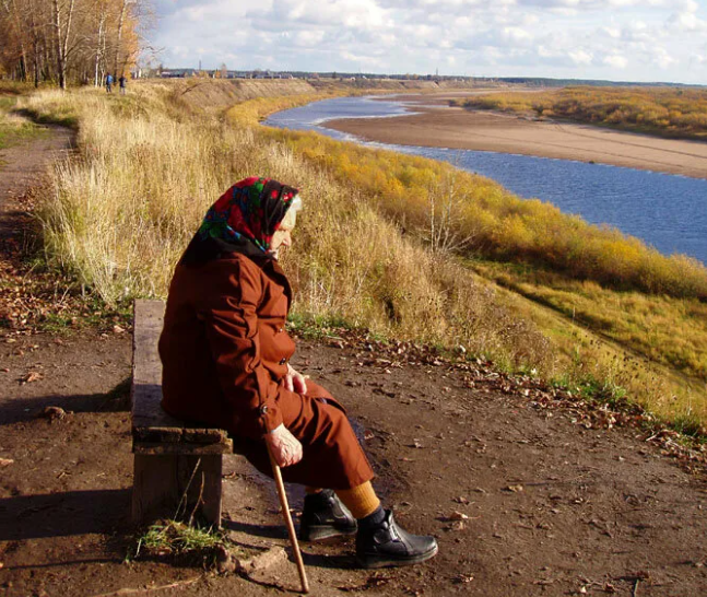 Яндекс картинки