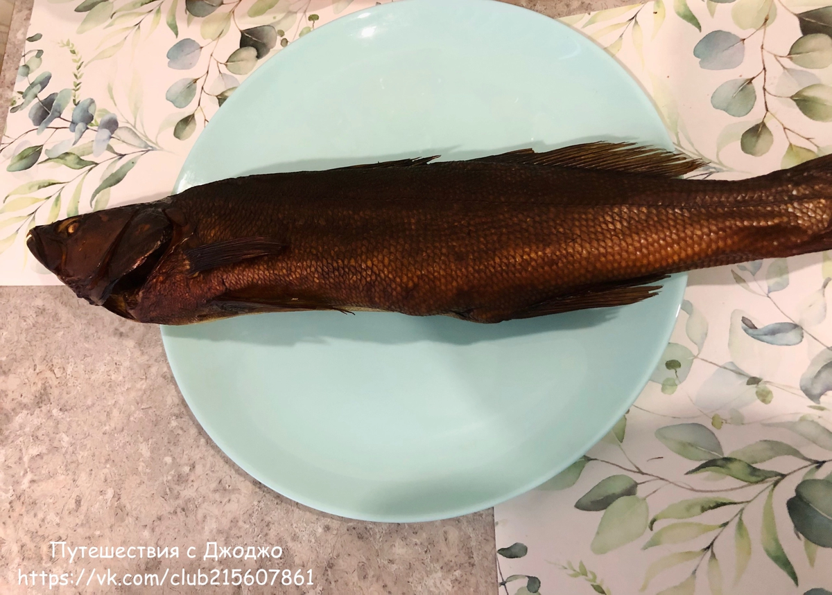 Судак, купленный в Изборске