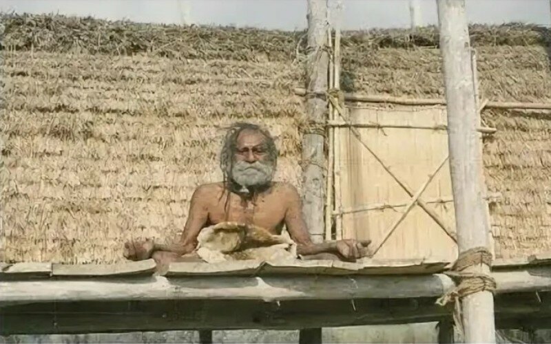 индийский святой девраха баба. пайлот бабаджи. индийский святой девраха баба. девраха баба. девраха баба.