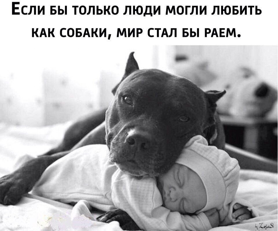 из свободного доступа
