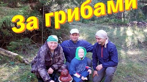 За грибами веселой компанией