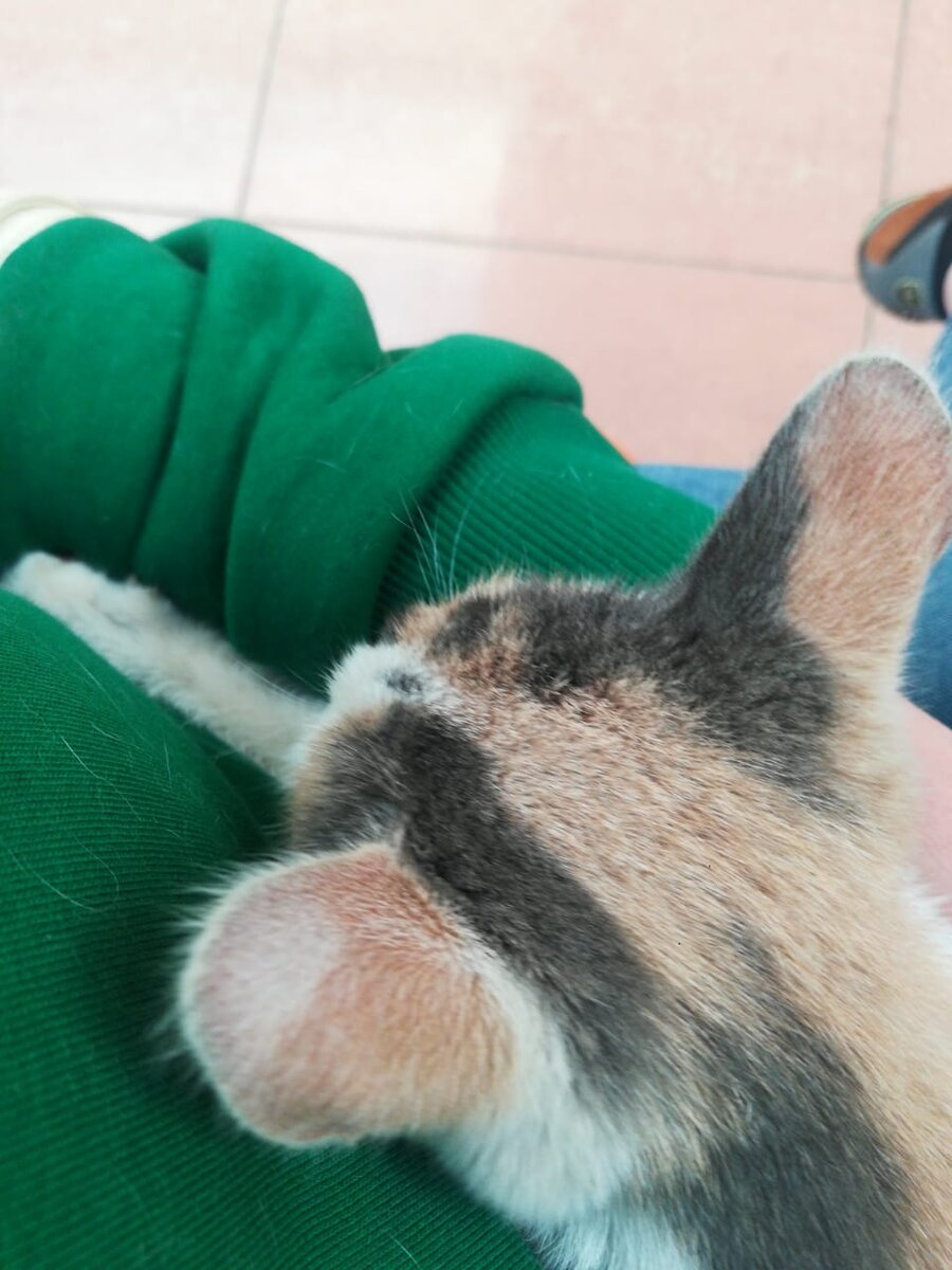 В ожидании приёма в клинике