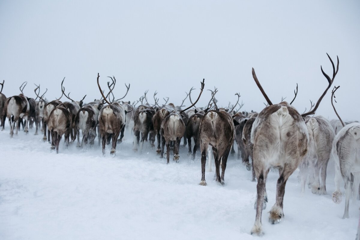 Фотография Анны Михеевой