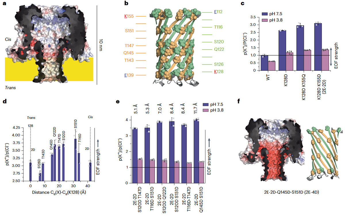   Adina Sauciuc et al. / Nature Biotechnology, 2023