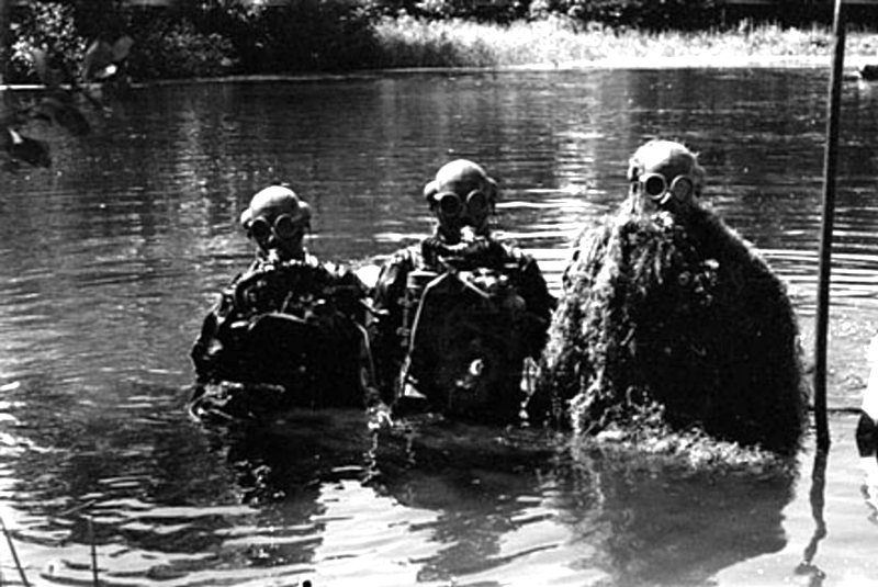 Источник: http://news5russia.blogspot.com/2013/11/russian-frogmen.html