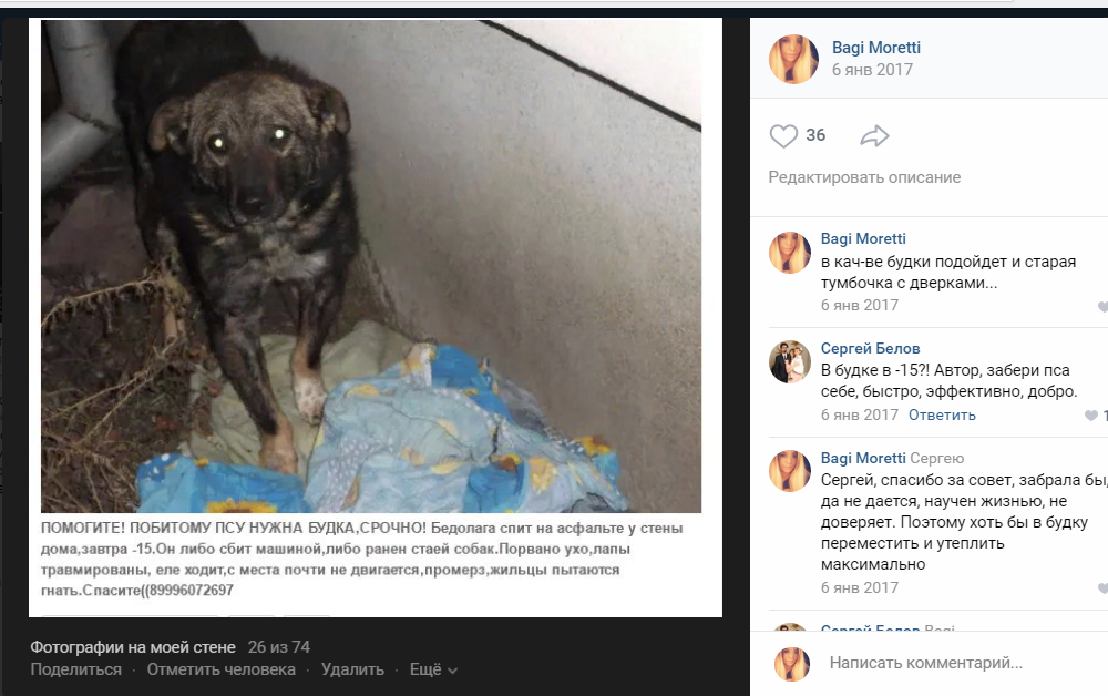 Рексик и мой пост о нем ВК.
