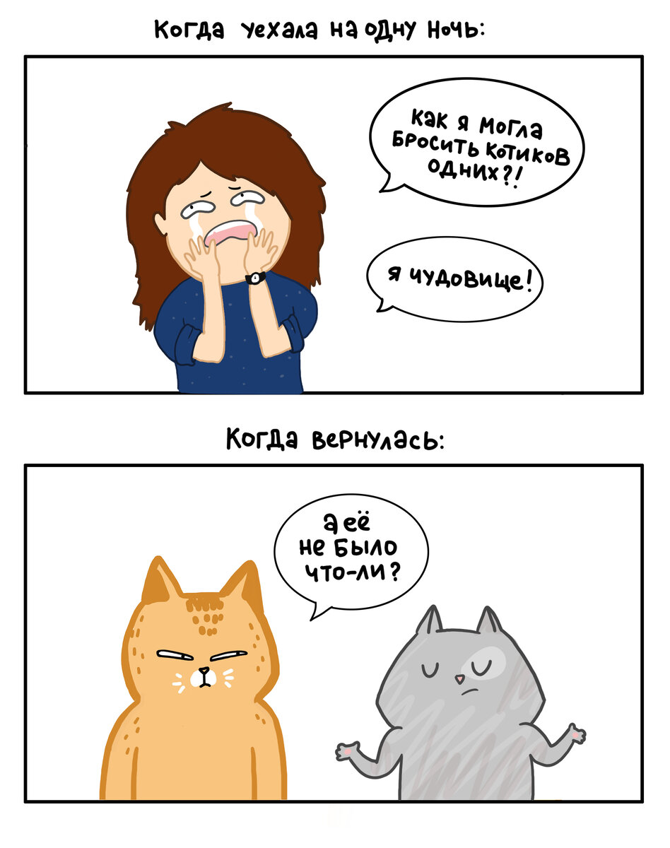 Мы считаем, что котики зависят от нас больше, чем это есть на самом деле :)