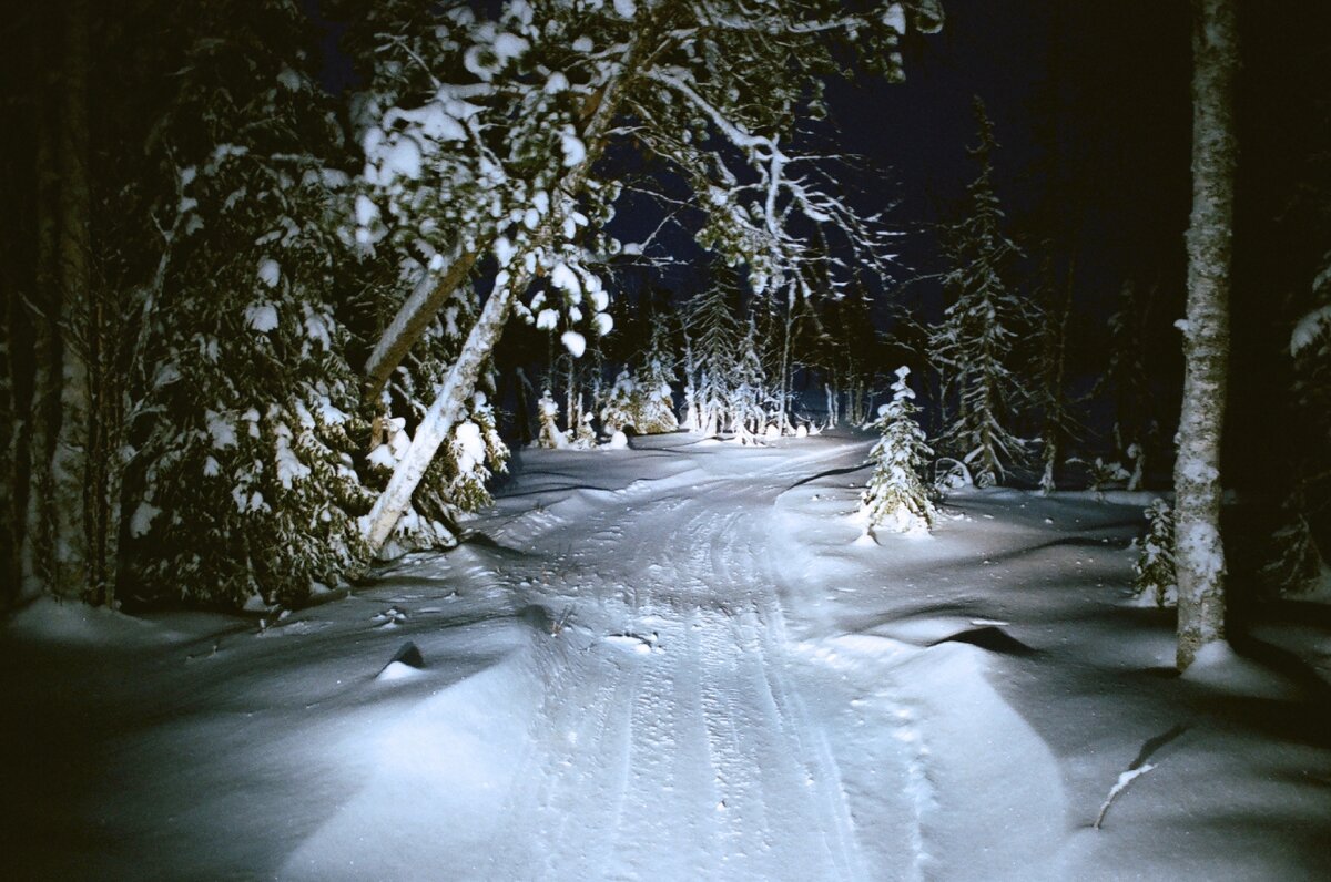 Фото: Макар Терёшин