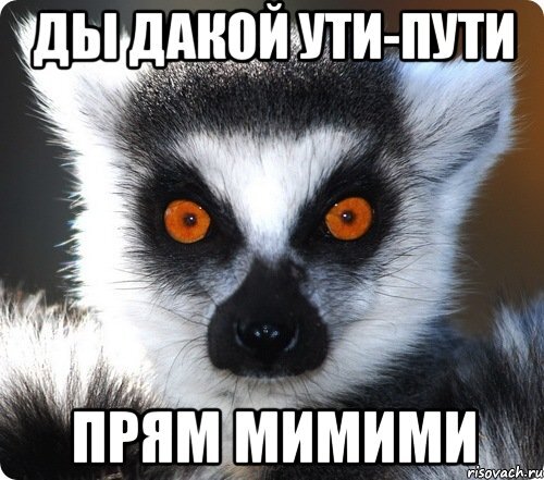 Ути пути. Ути пути пути. Ути пути Мем. Мимими Мем.