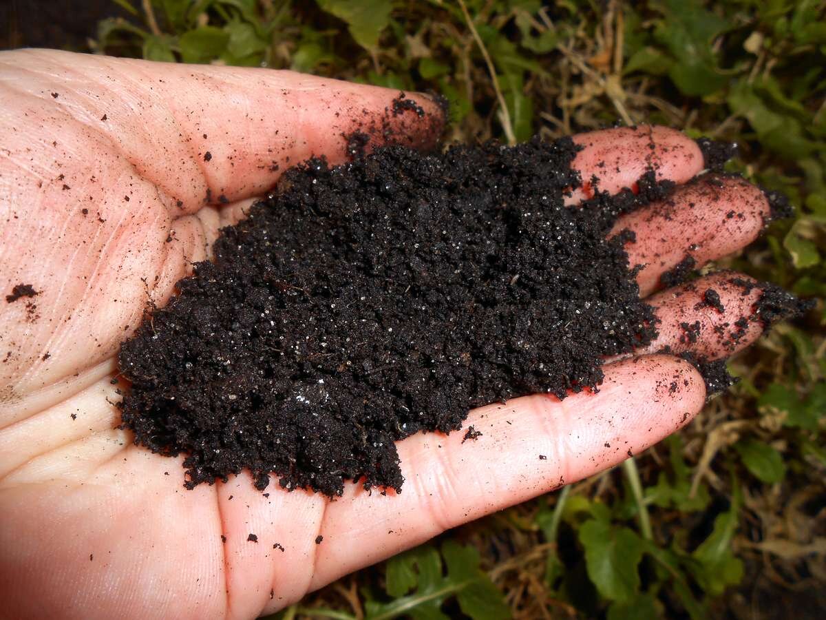 Как понять какая почва. Почва на участке. Тип почвы на участке. Состав почвы на участке. Иловая почва.