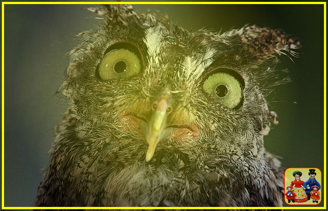 Коллаж. Птица