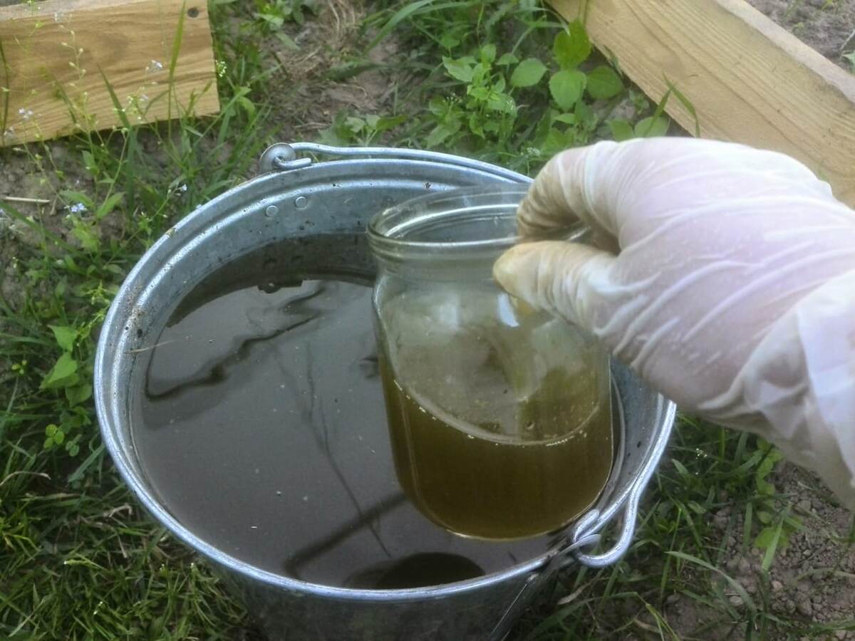 Крышка для кормушки пчел. Медом можно подкормить. Подкормка пчел. Полив кустарников. Сироп для пчел на зиму.