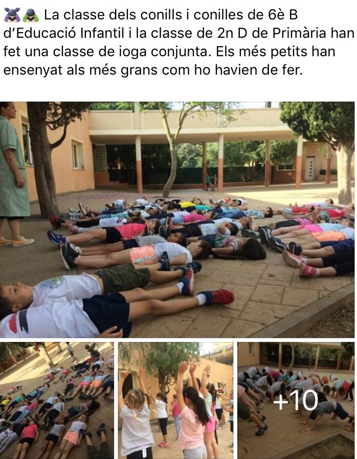 Совместный урок йоги для детей двух классов. Лежат себе на школьном дворе...