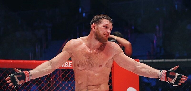 Владимир Минеев