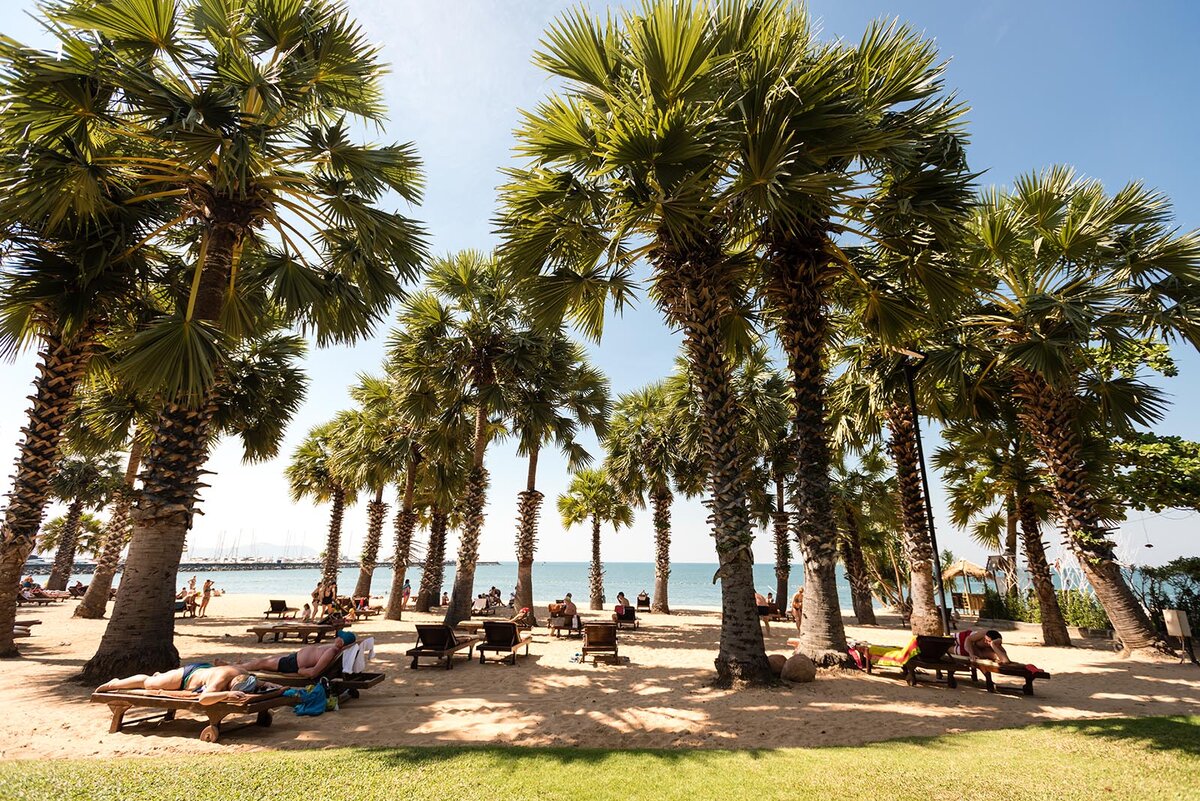 Территория отеля Равиндра с пляжем и морем