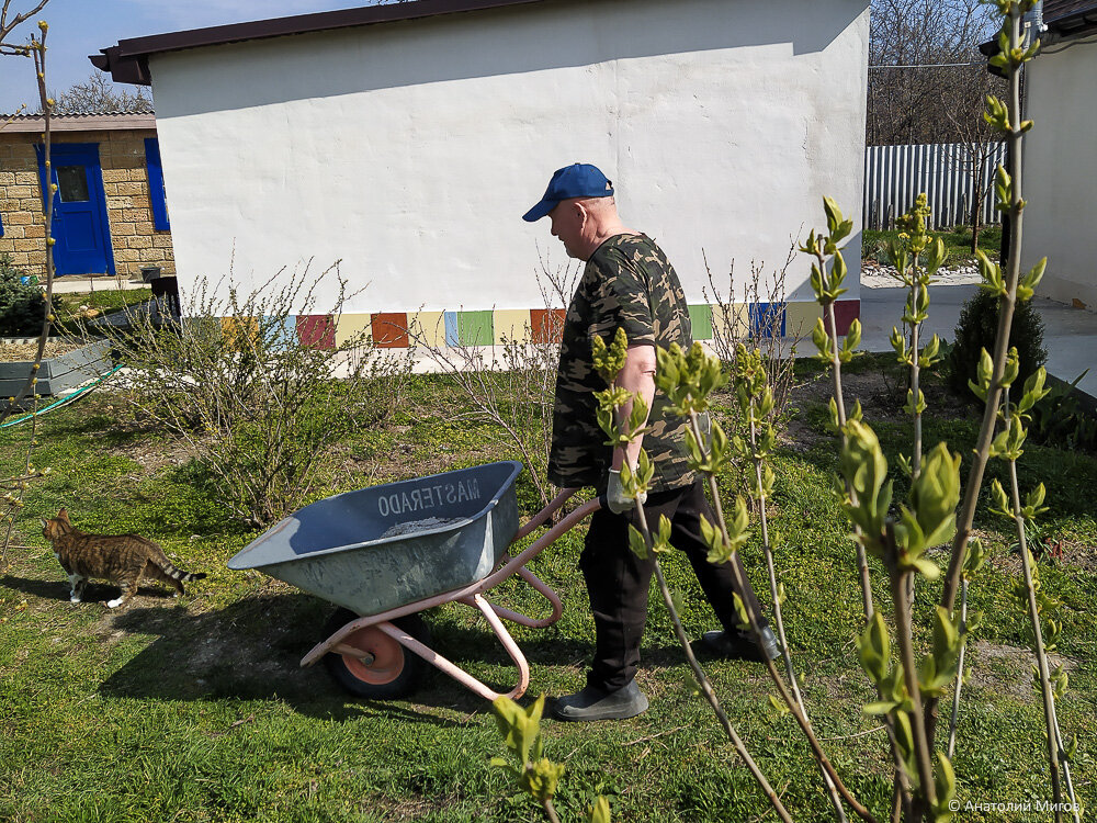 Полгода ни дождя, ни снега. Земля пересохла, поливаем изо всех сил