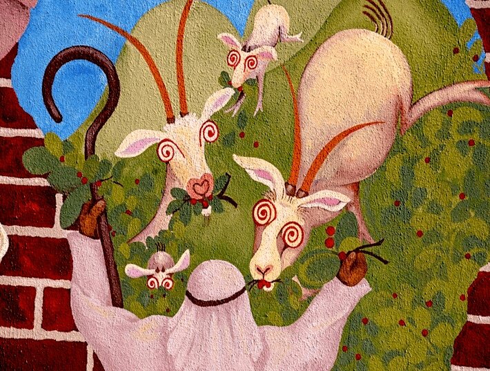 Козочек вставило