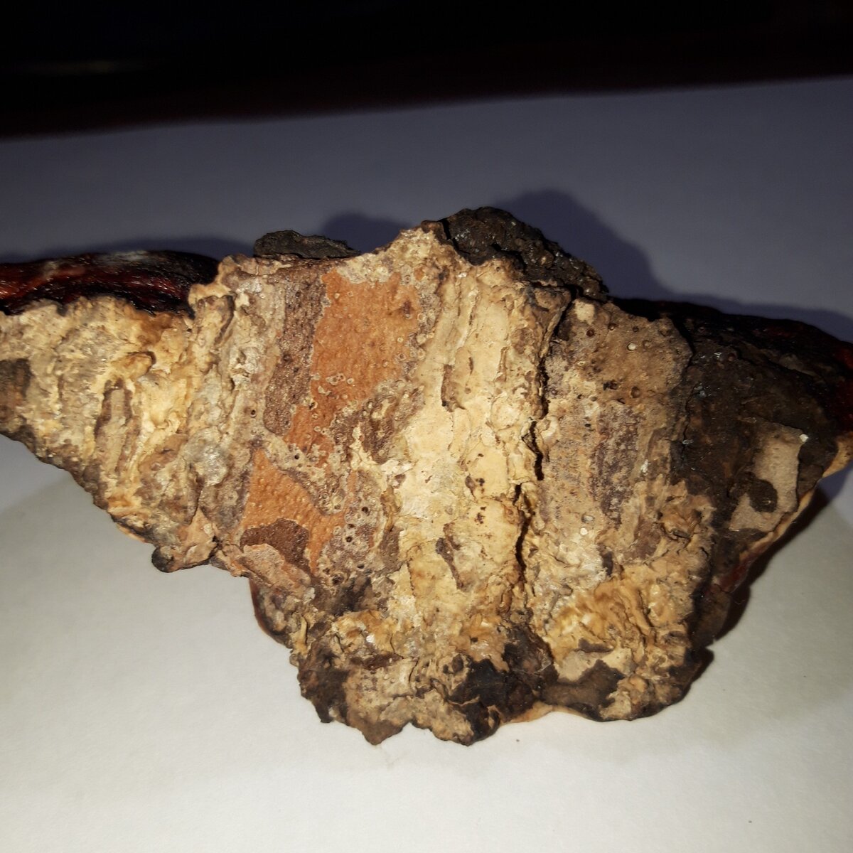 Фотография моя