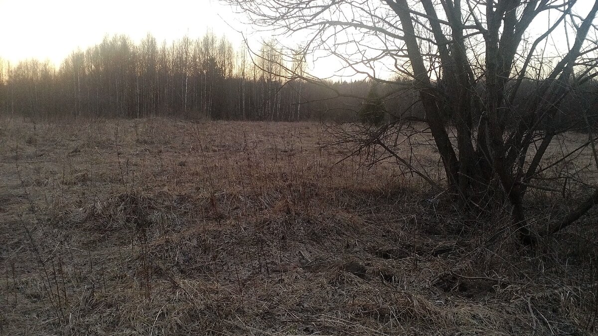 автор фото Александр 🛠