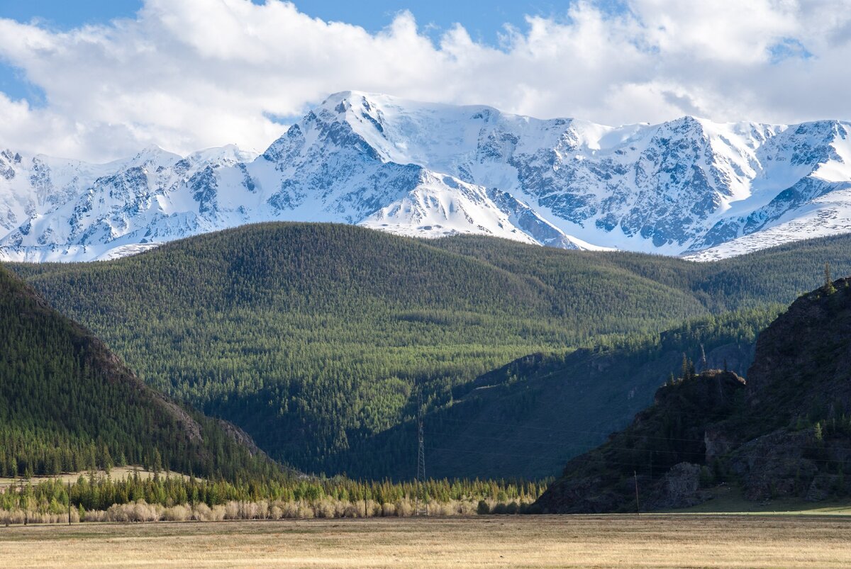 Кош Агачский район Республики Алтай