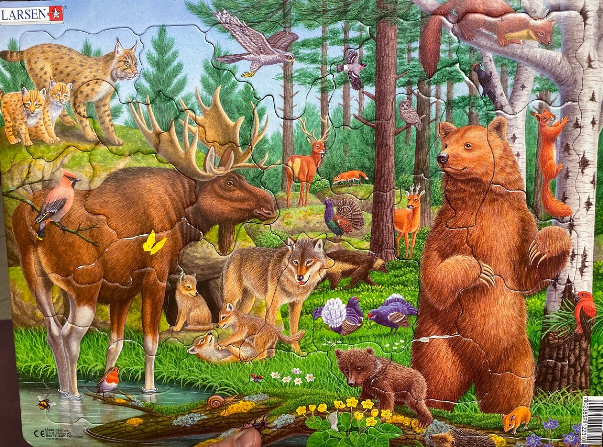 Самый любимый пазл, качество отличное, можно попутно изучать зверей, много как крупных, так и мелких зверей, которых надо искать глазками. Собирали целиком в 1.11