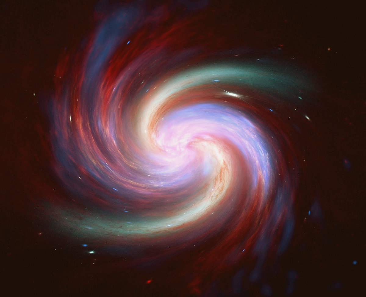 Фото из Pixaby 