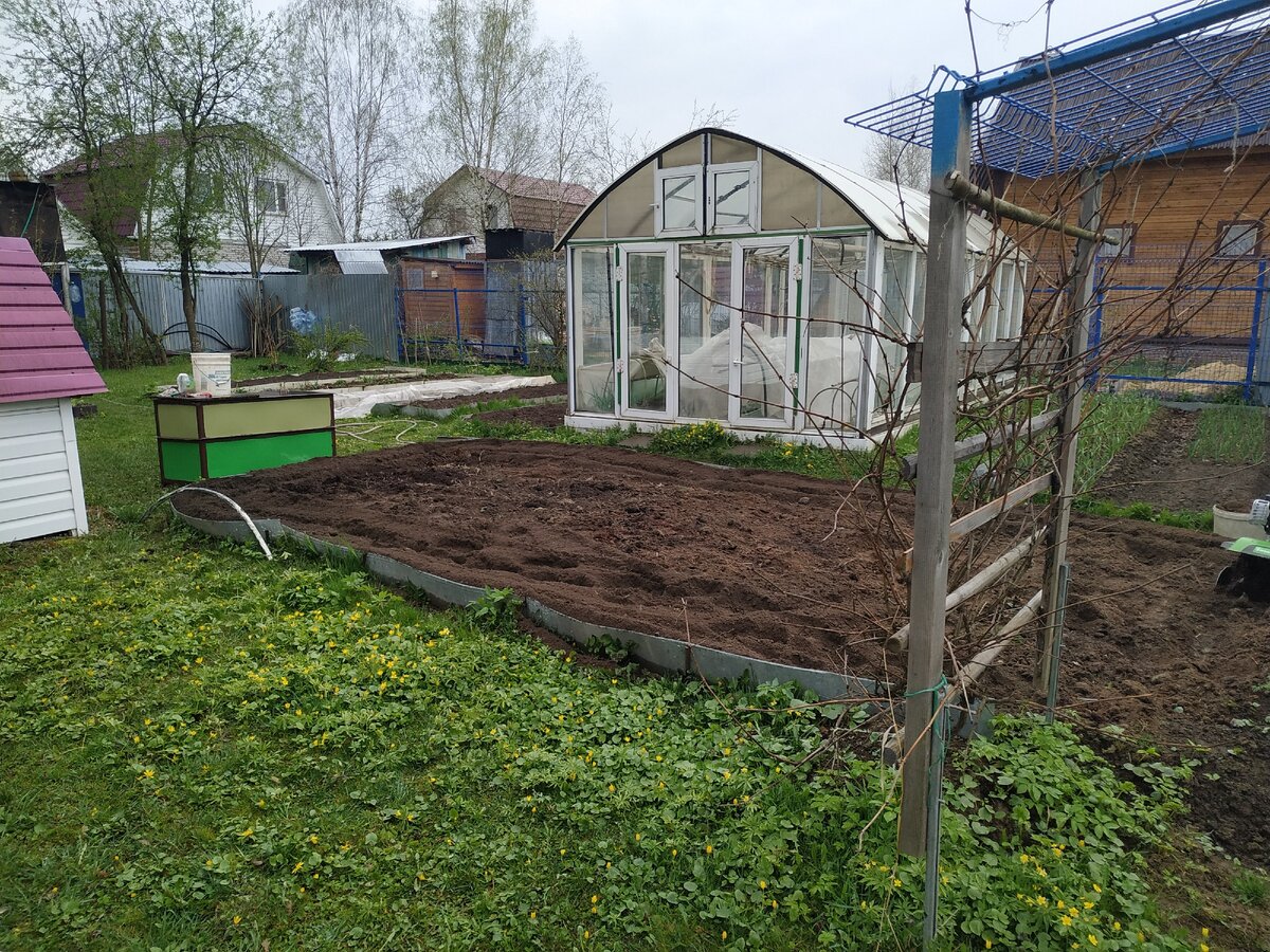 Картошка и моркошка.