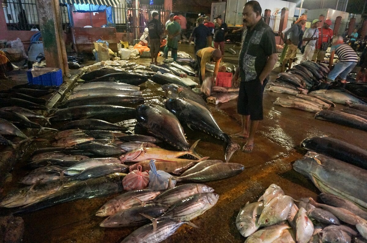 Женщин на рынке нет.