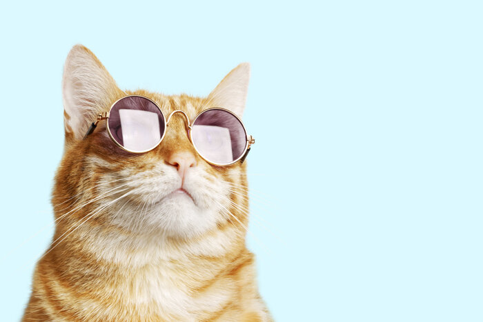 Источник: Mark KA / istockphoto.com