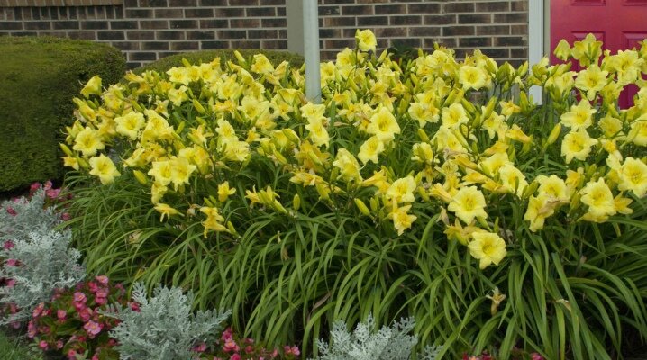 Содержание