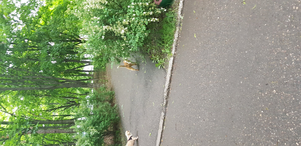 Личное фото, использование запрещено