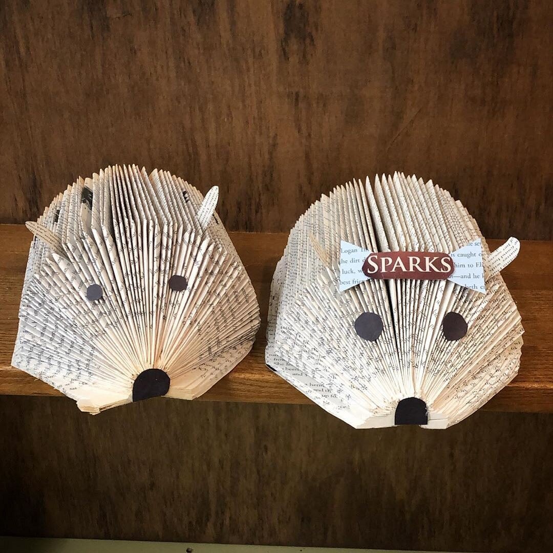 Instagram: @jackieweissman