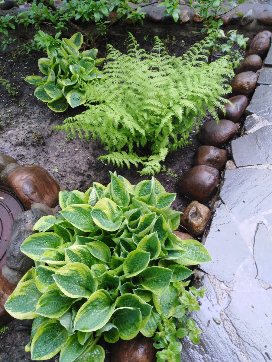 Фото из личного архива 