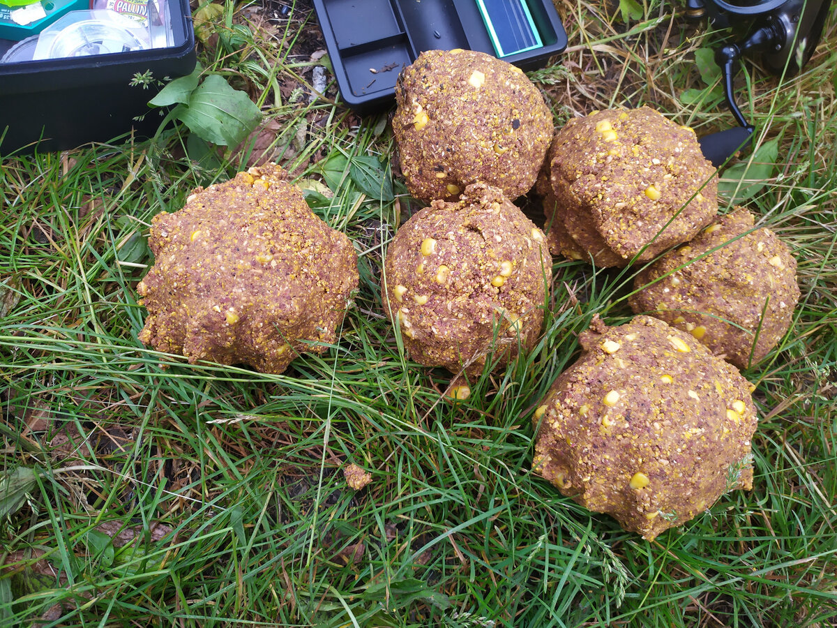 Часть стартового закорма