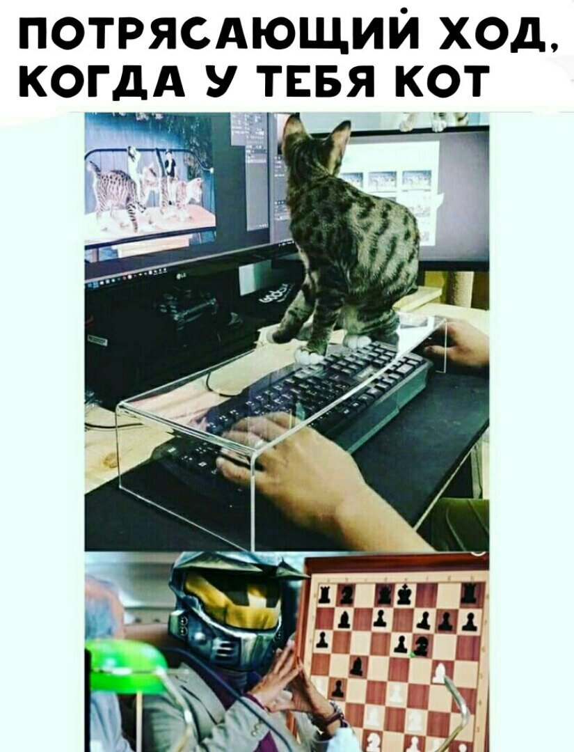 воровано у неизвестного  человека 