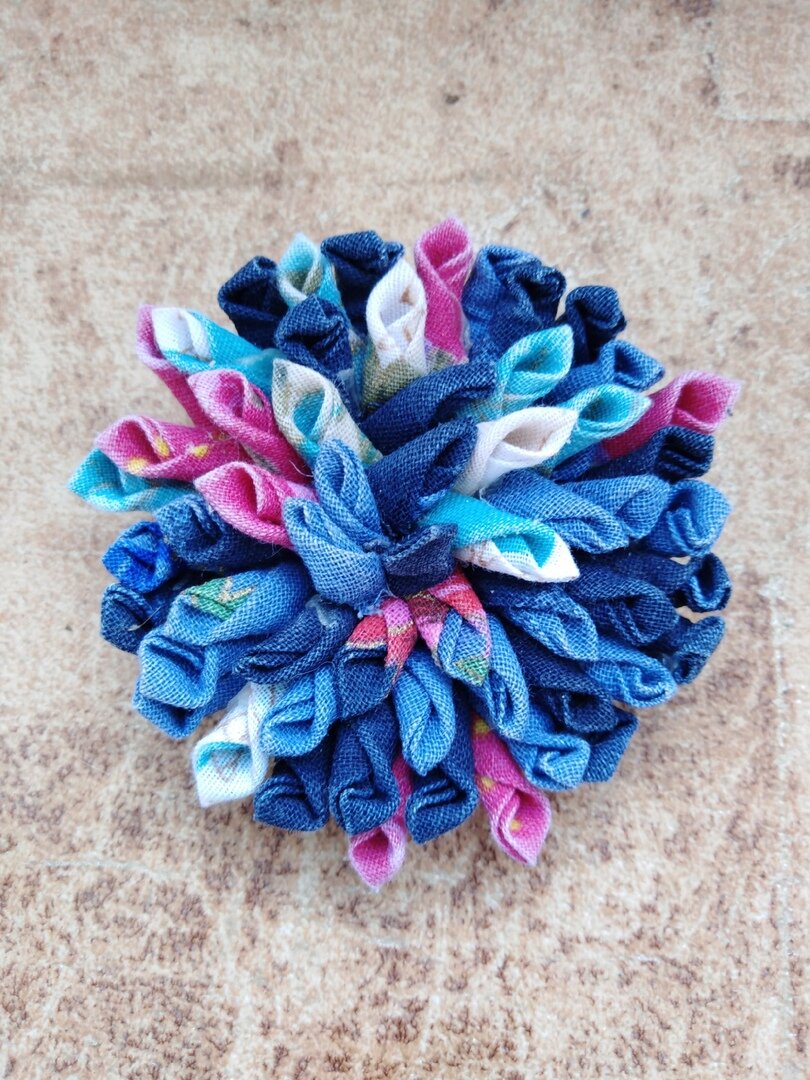 Это моя яркая и необычная астра.