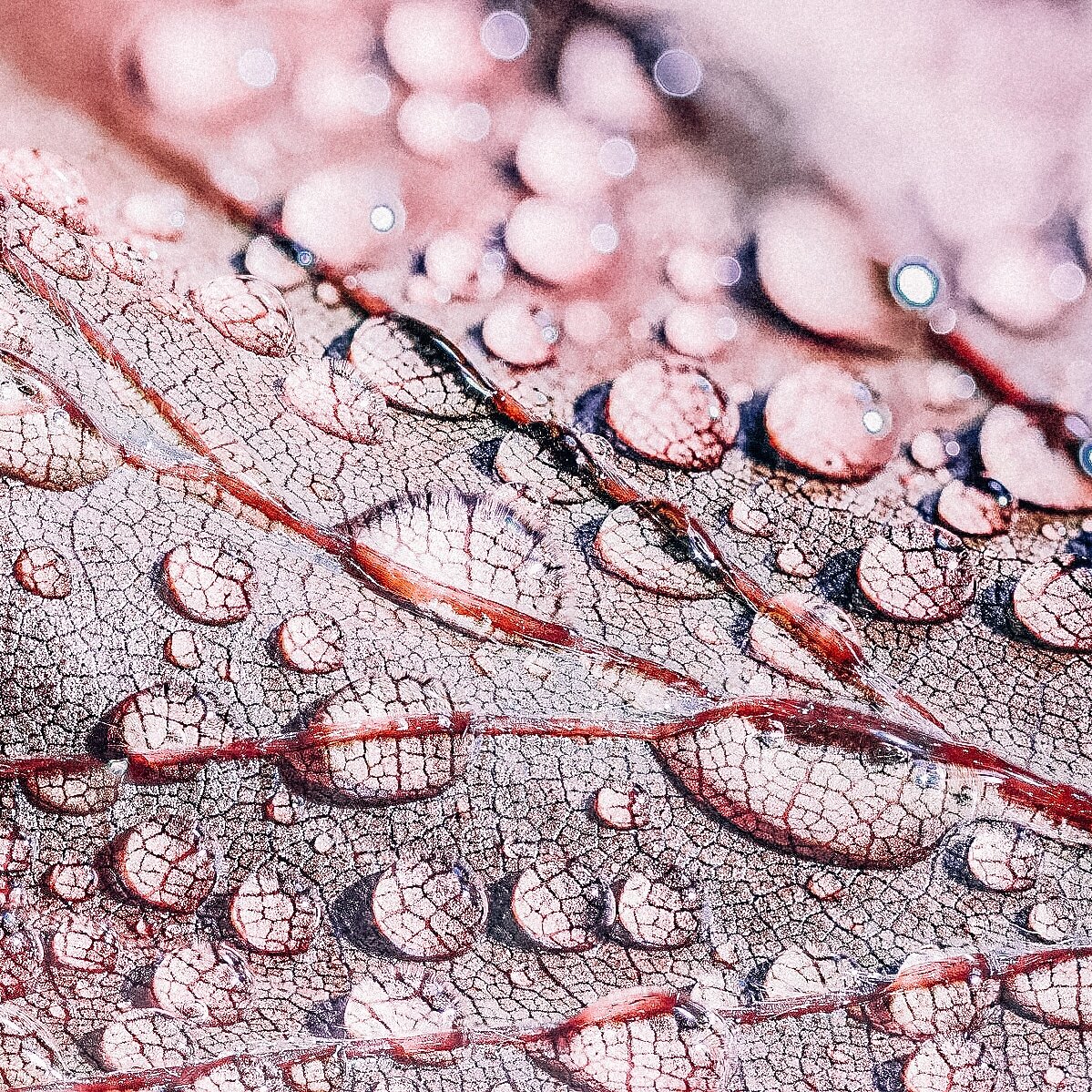 Увлажнение - это не только вода