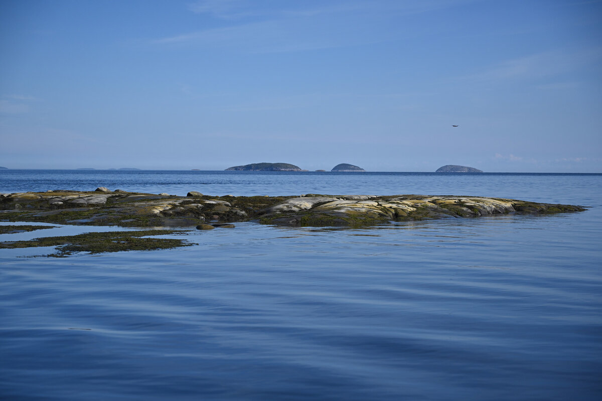 Белое море какой. Белое море Евразия. Белое море Тоня Гремяха. Поной белое море. Акватория белого моря.