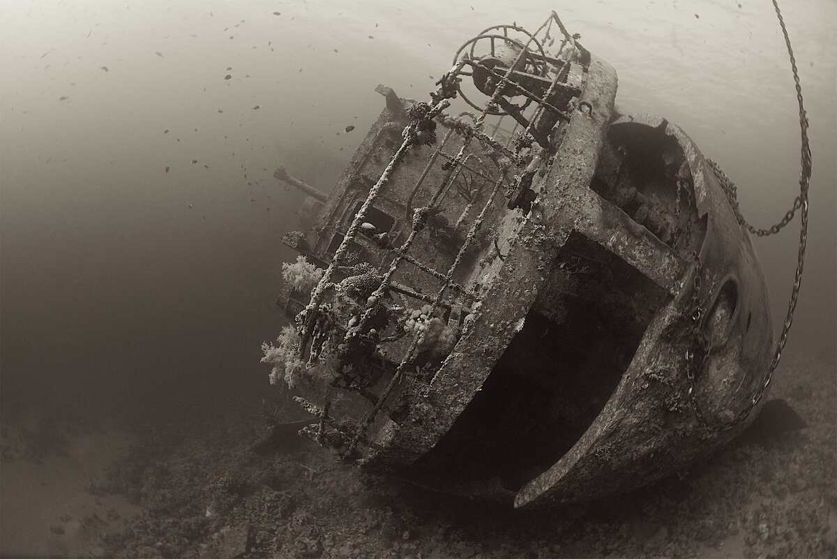 Фото от Iyad Suleyman