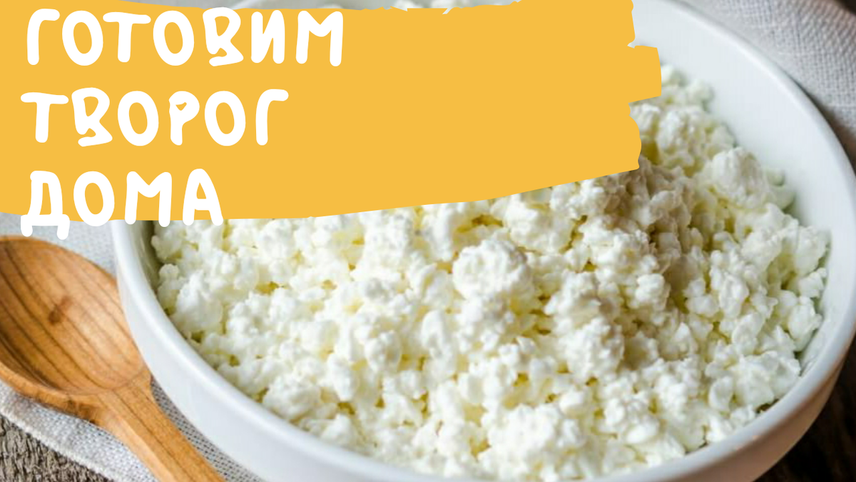 Домашний творог