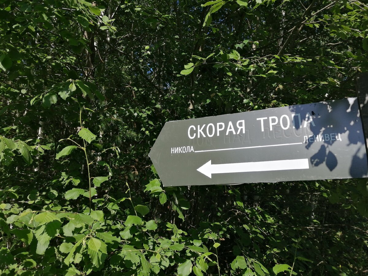 Арт-парк "Никола-Ленивец". Фото Светы Давыдовой
