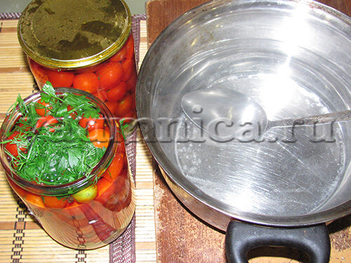 Простые и вкусные рецепты консервирования помидоров