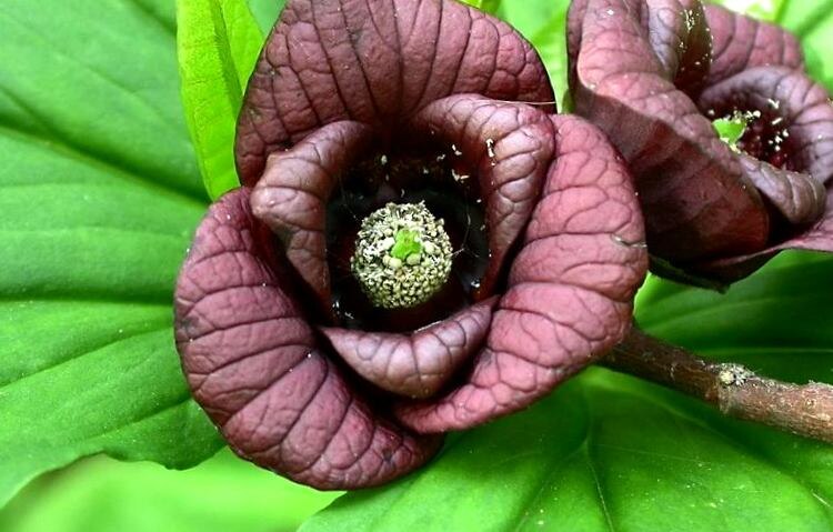 Взято из открытых источников