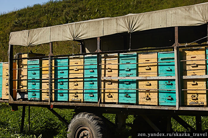 Передвижная пасека на Кавказе