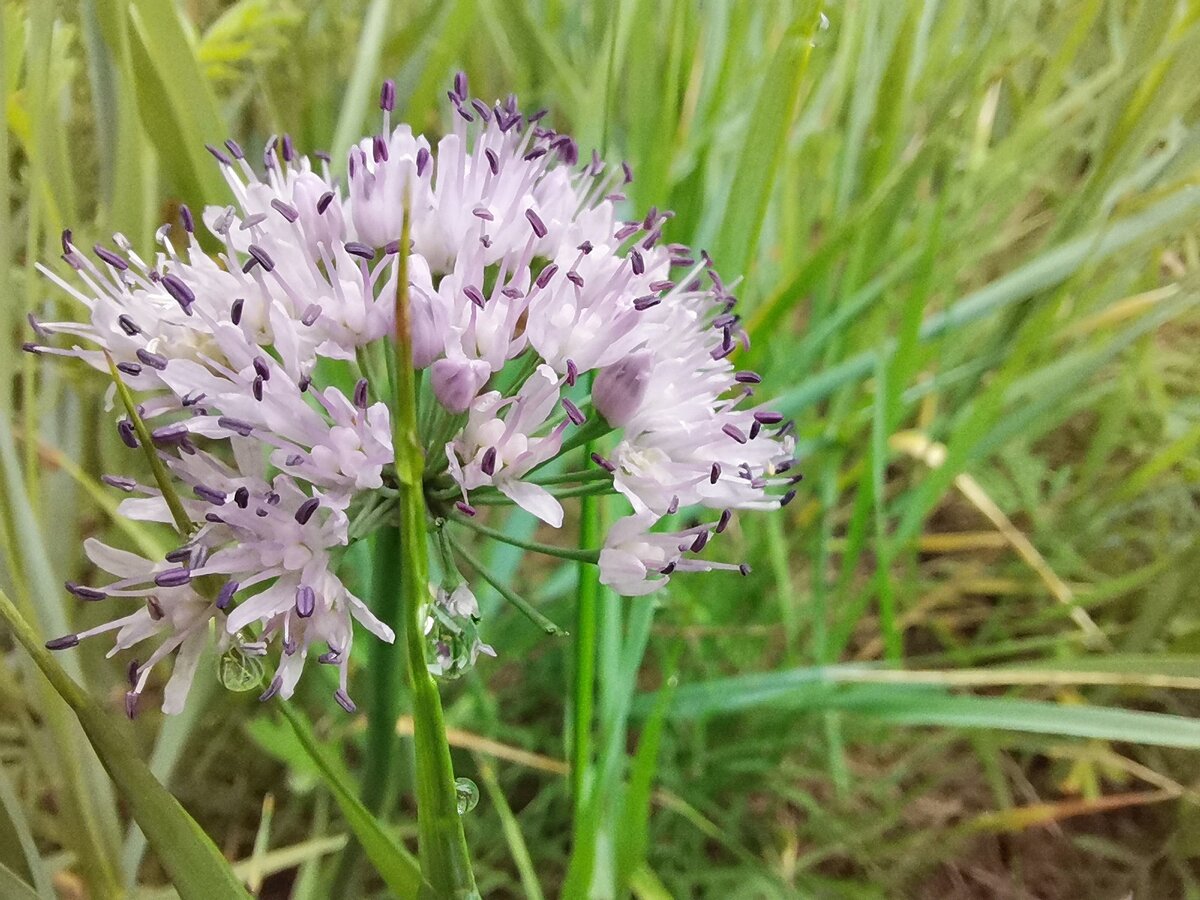 В сказки и чудеса нужно верить