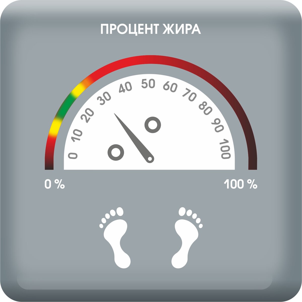 «Весы», показывающие процент жира, что имеет основное значение для контроля качества тела.