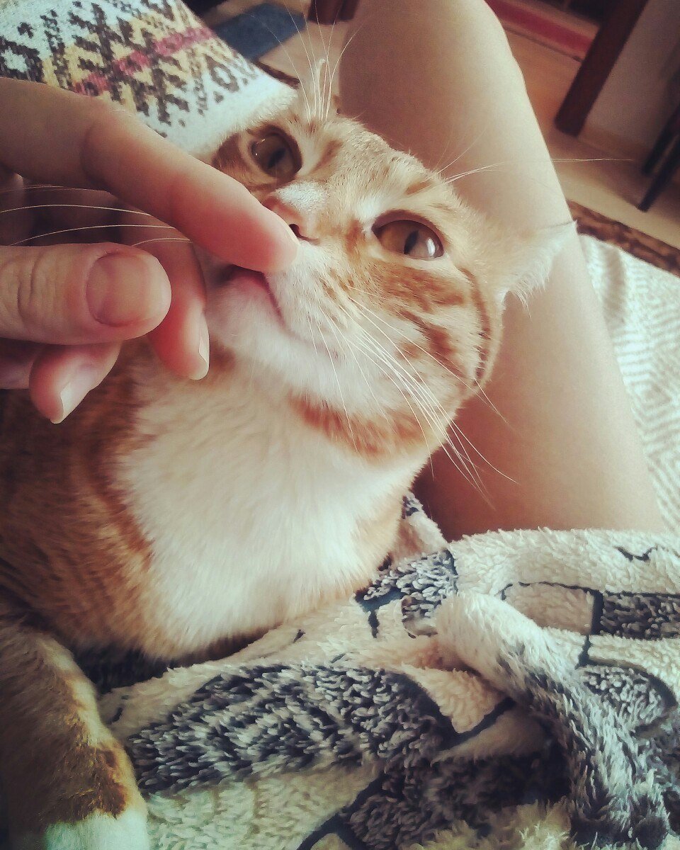 Фото из личного архива