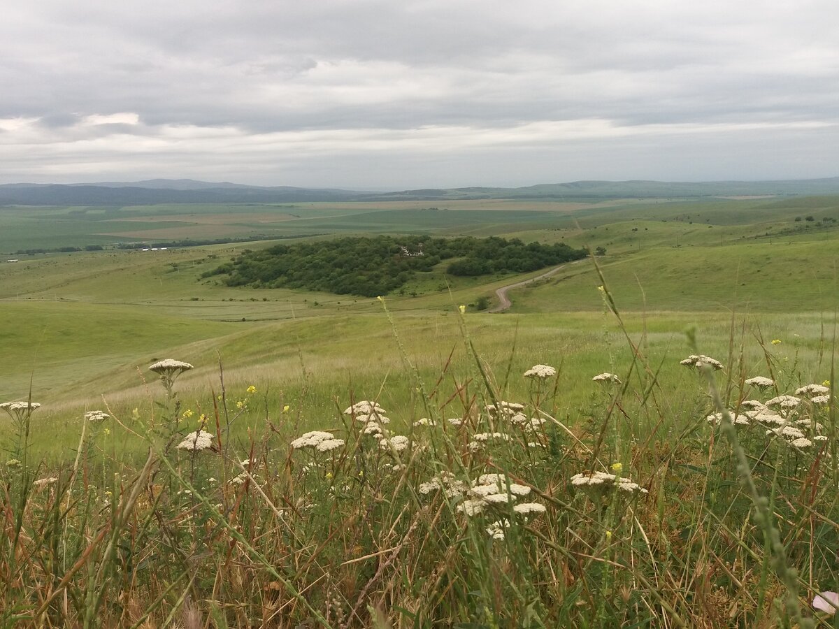 Это одно из моих любимых занятий - гулять по лугам в тишине, особенно приятно, когда всходит солнце после дождя и свежесть полевых цветов и родных гор заполняет легкие, утопаешь босыми ногами в траве,  пение птиц и стрекотание стрекоз ласкает слух, а еще, если приглядеться, можно заметить усладу глаз и желудка - землянику, не могу найти слова, чтобы описать ее вкус... А потом приходишь домой довольный, излучая гармонию природы и человека, благоухая лугами и неся в руках, собранный с любовью букет полевых цветов, естественно для самого дорогого человека на свете, для мамы,  такой ни за какие деньги не купишь. 